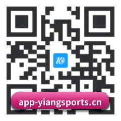 系统版 iOS 二维码